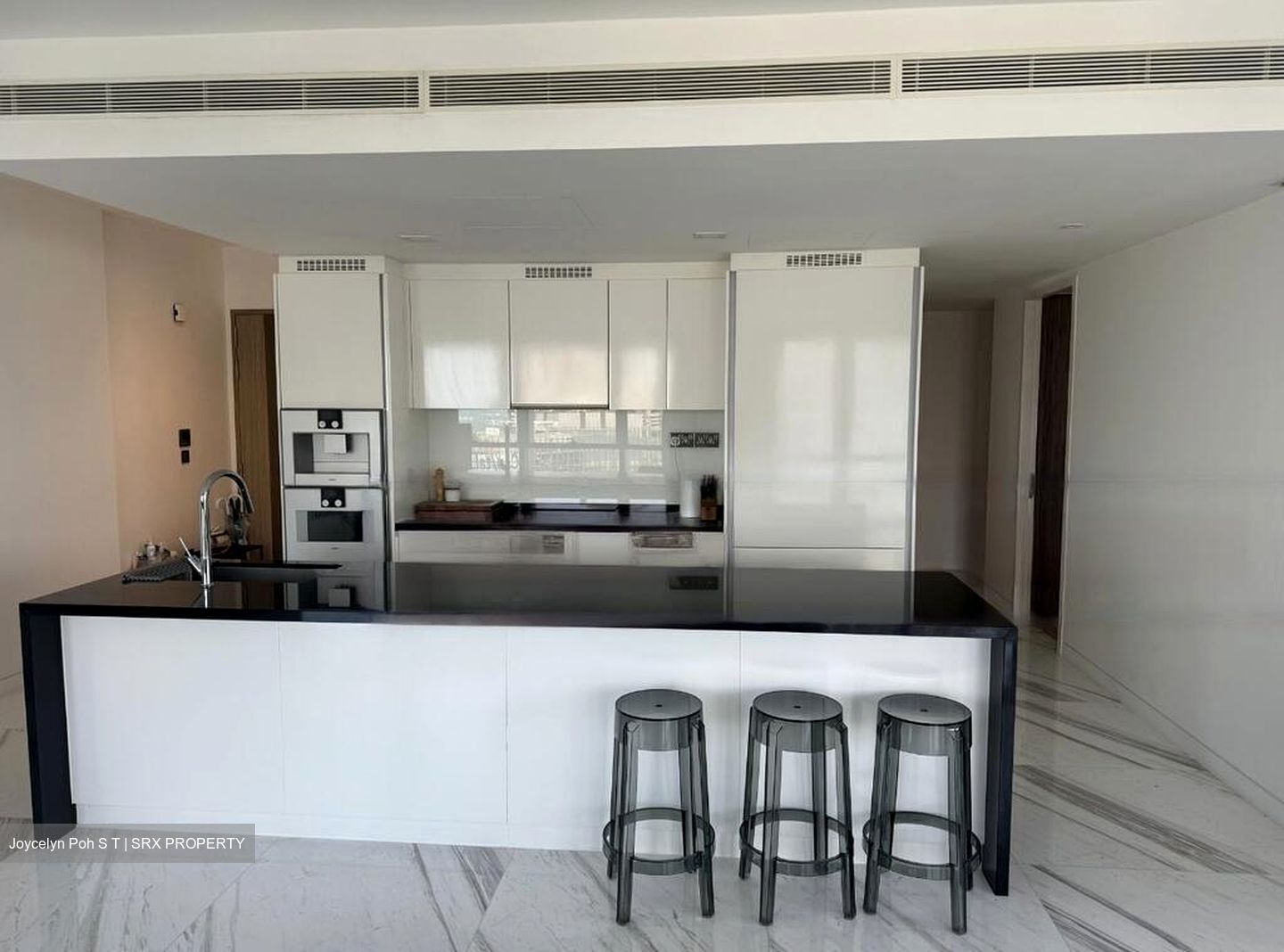Wallich Street (D2), Condominium #460299831